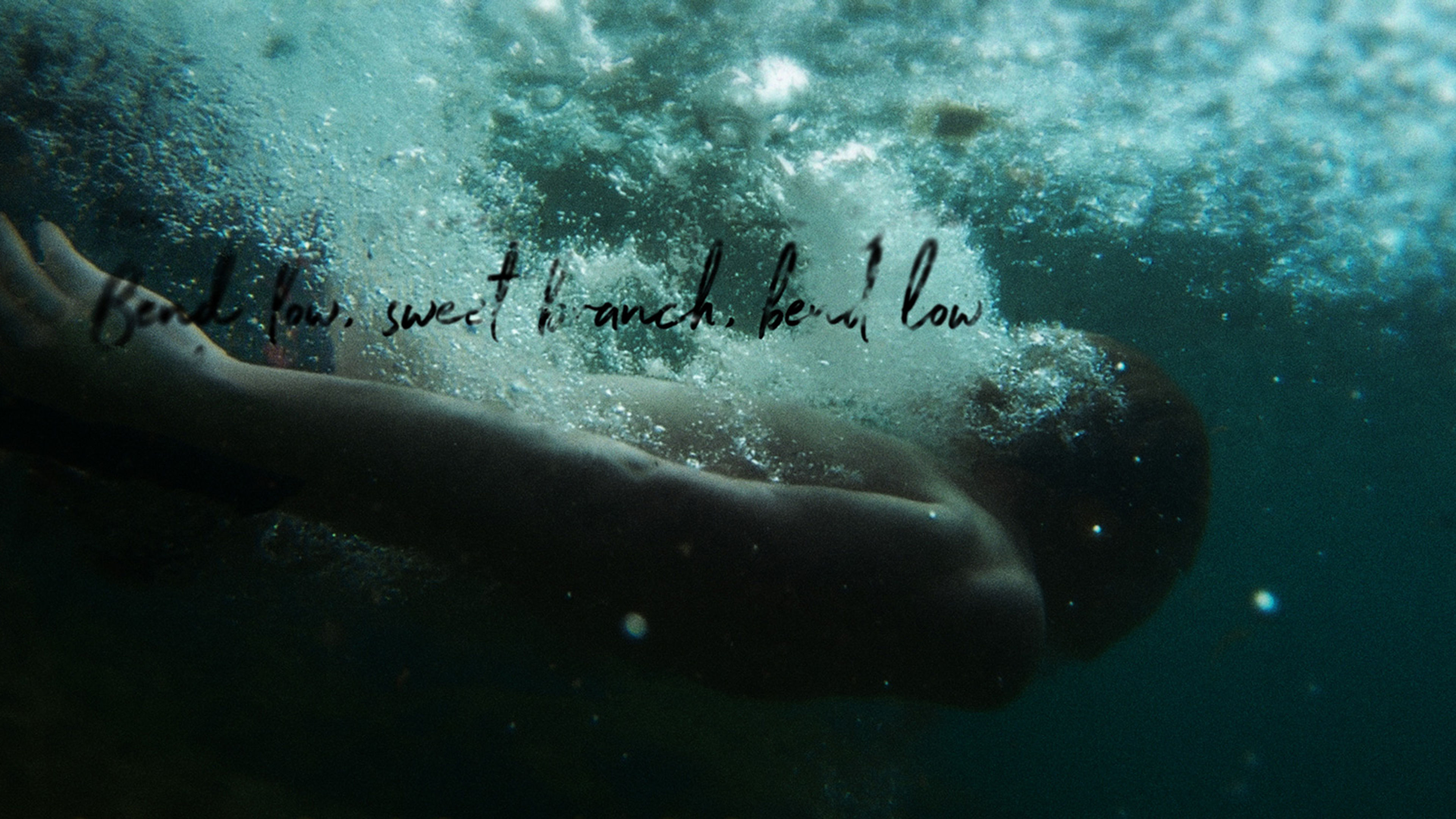 Gentleman Losers - Bend Low, Sweet Branch, Bend Low